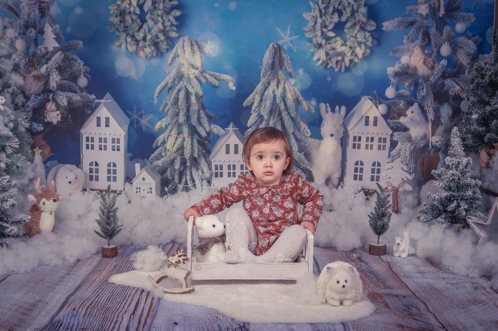 Fundo fotografico Natal