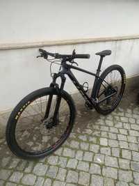 Scott scale 940 carbono 2023