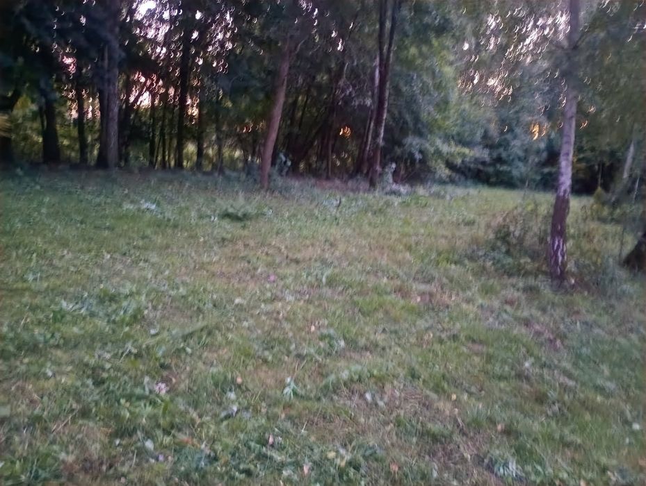 Działka budowlana 9513 m2 Dąbczyn gm. Ciechanowiec