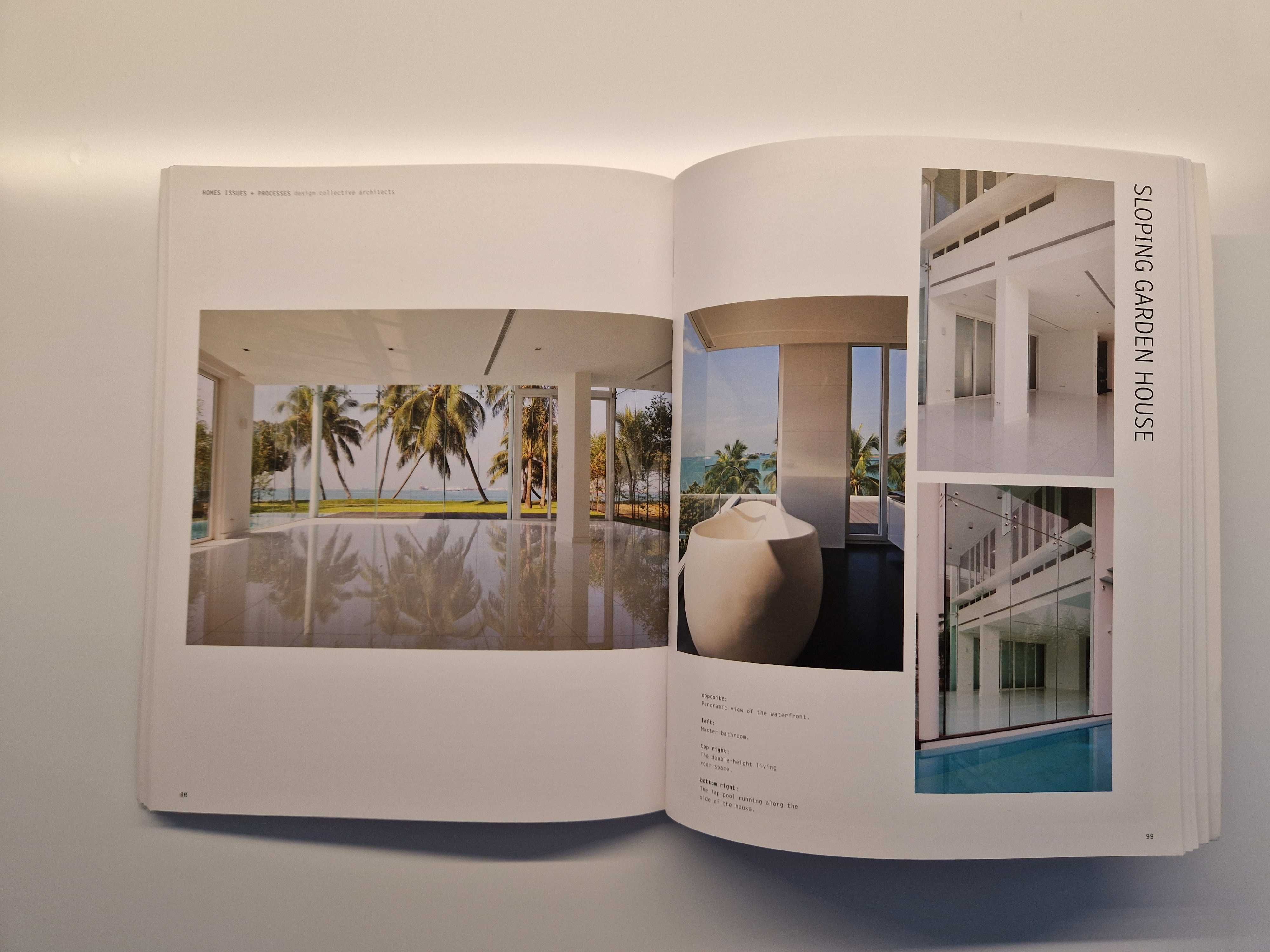 Livro Homes Issues + Processes