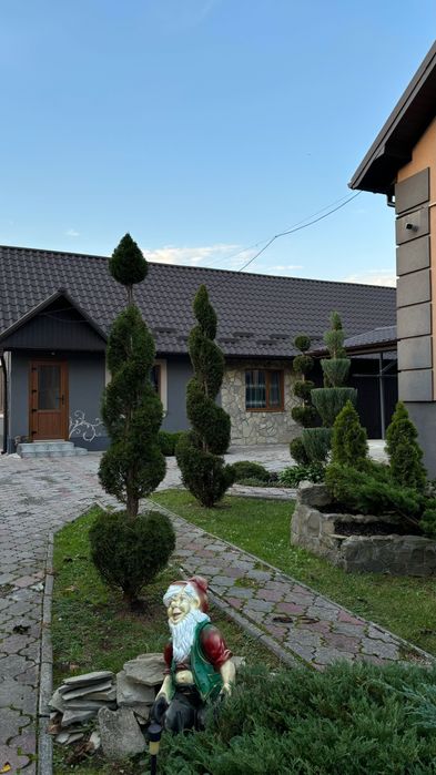 Топіарна стрижка, нівакі та художнє формування