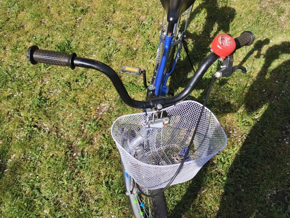 Rower chłopięcy 20'