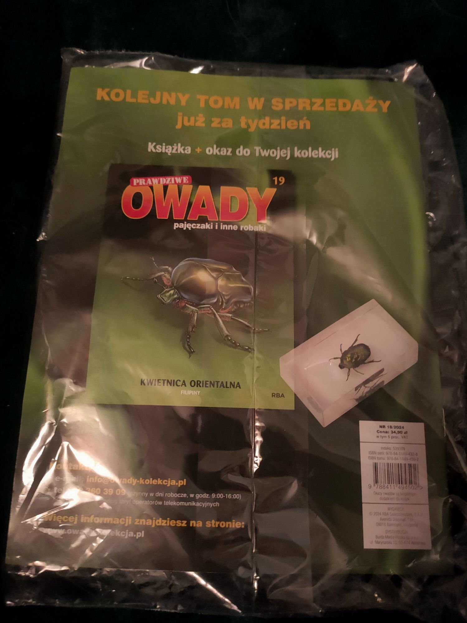 Kolekcja prawdziwe owady nr 18