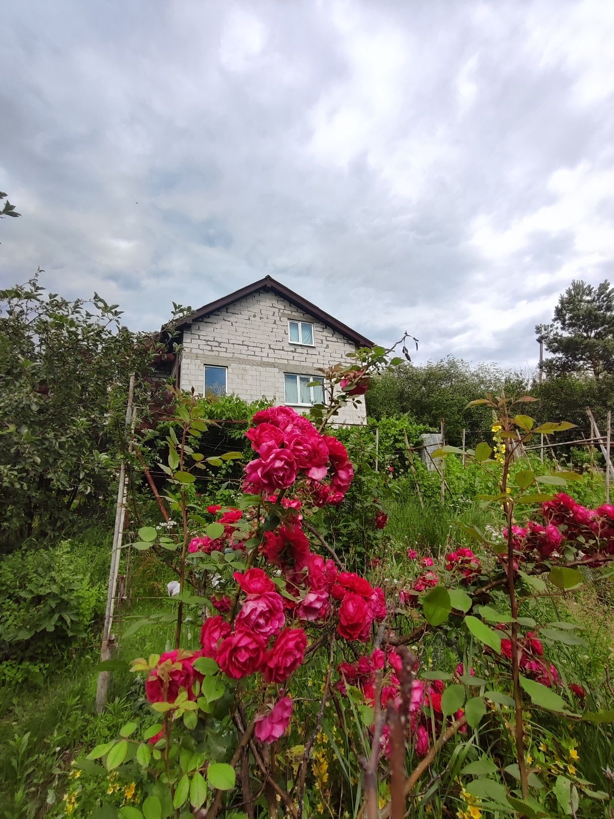Продам дачу з земельною ділянкою в с. Ст.Безрадичі, Обухівський р-н