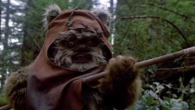 Ewok Warrior (Star Wars)