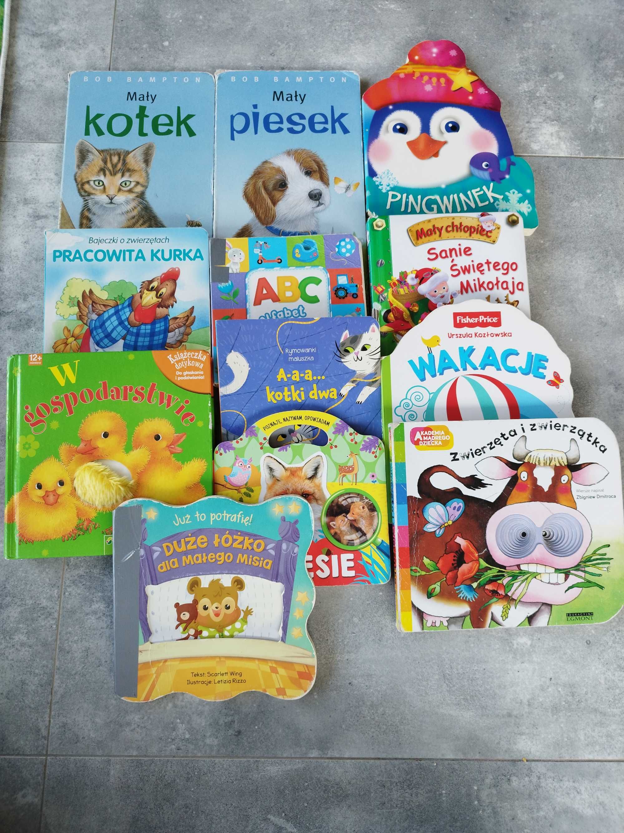 Zestaw książek/książki dla dzieci, różna tematyka
