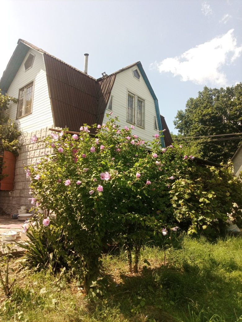 Продам дачу біля лісу