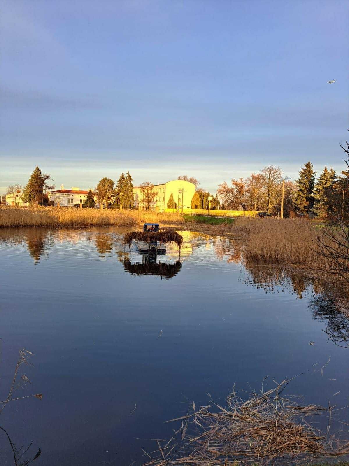 Koszenie trzcin odmulanie czyszczenie stawów i akwenów wodnych