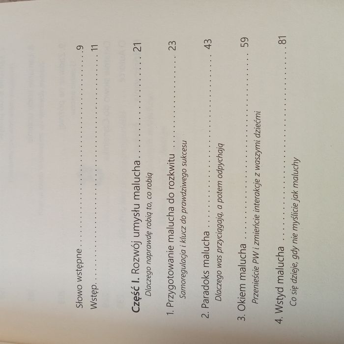 Zrozumieć malucha, Tovah P.Klein -poradnik