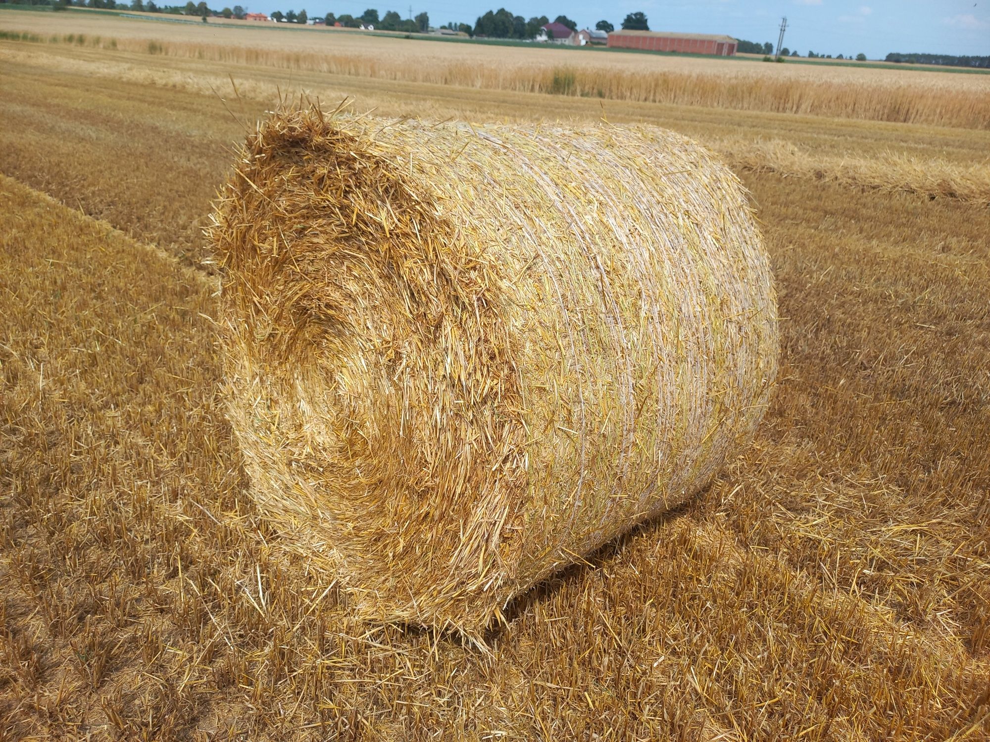 Prasa rolującaca Claas Variant 480RC 22 rok