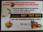 Kosa spalinowa Piła spalinowa