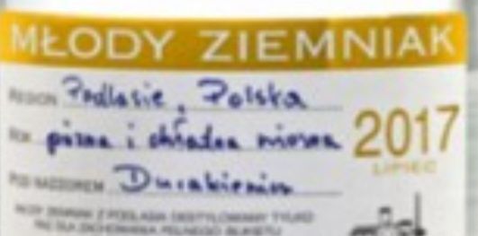 Młody Ziemniak kolekcja 0d 2017