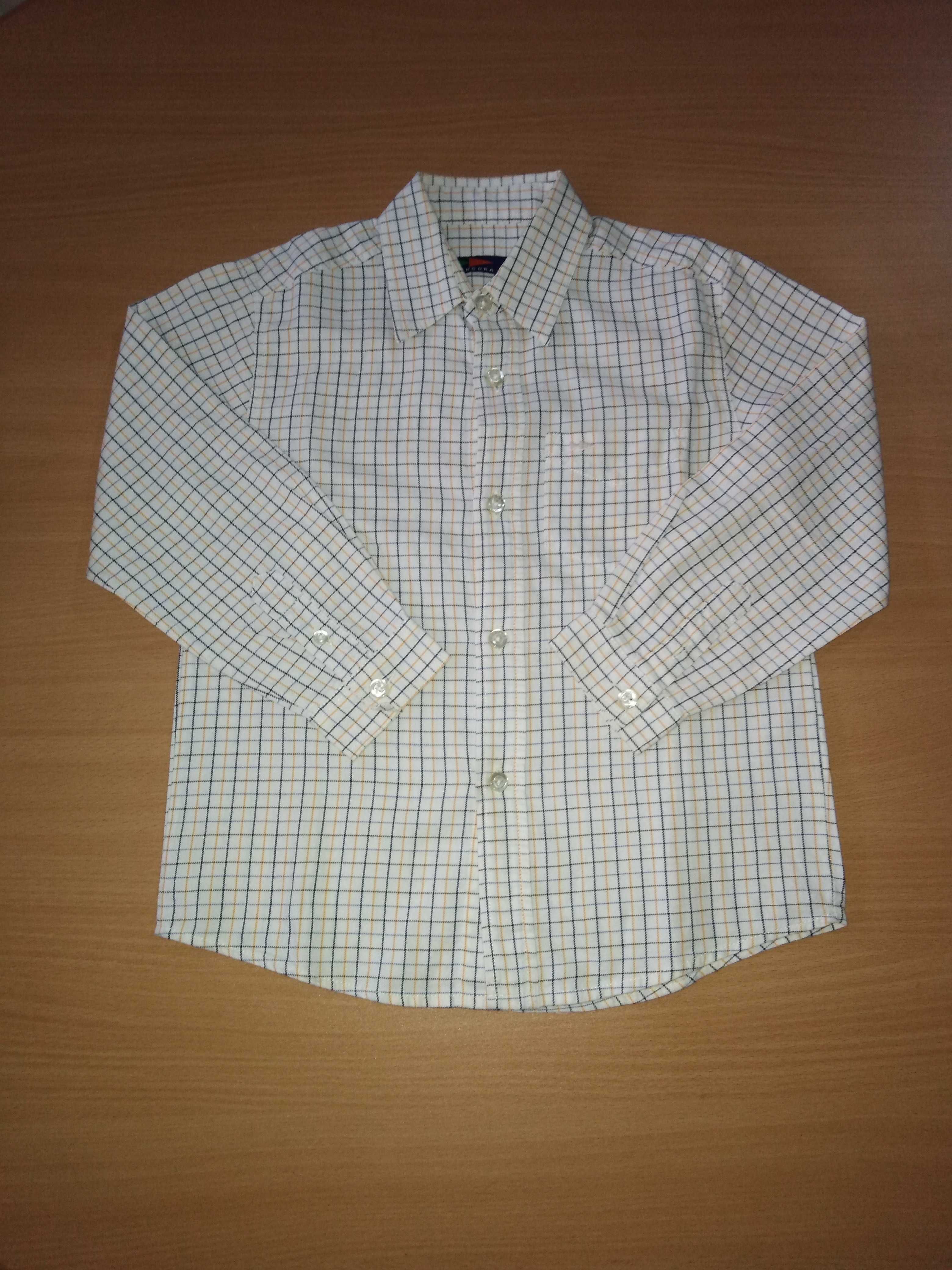 Camisa - Cenoura