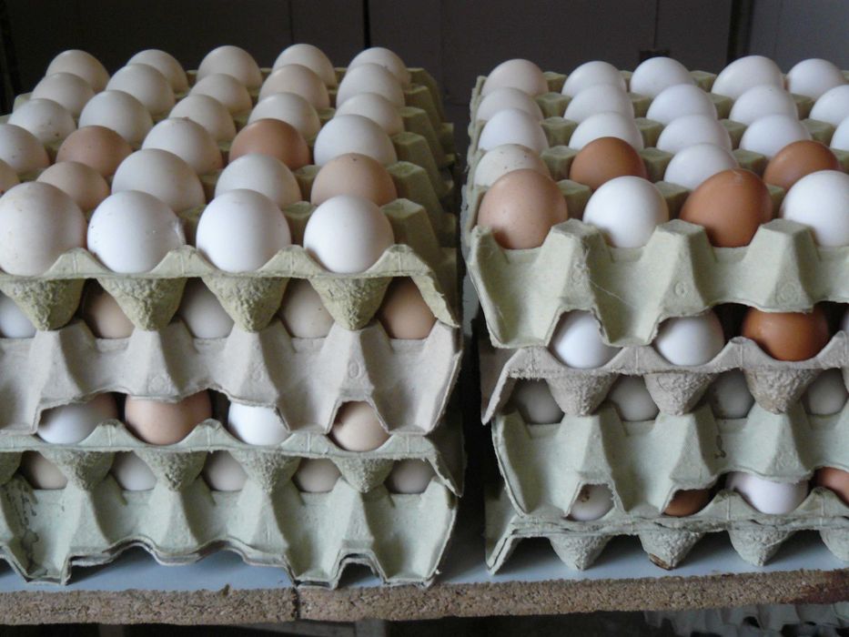 Jajka konsumpcyjne.