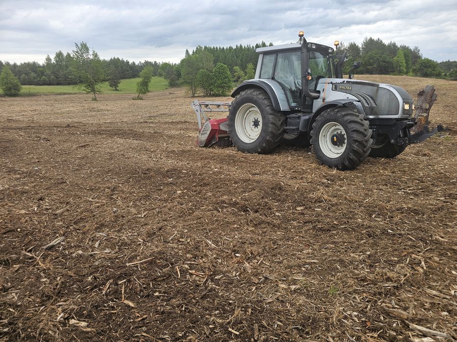 Wycinka drzew,samosiejek,krzakow,Dzierżawa grunow..Usługi Lesne Transp