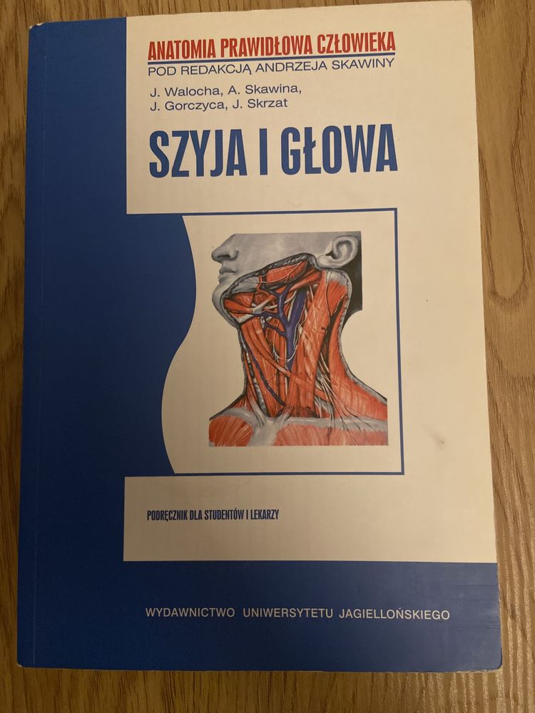 Anatomia Skawiny- Szyja i głowa