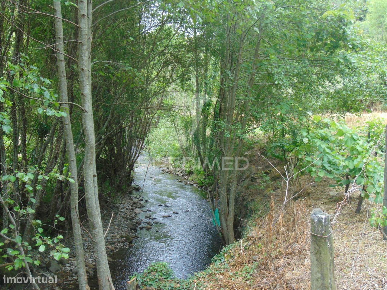 Quinta c/ vinha em produção em Santa Marta de Penaguião