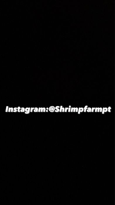 Disponiveis buzios helena