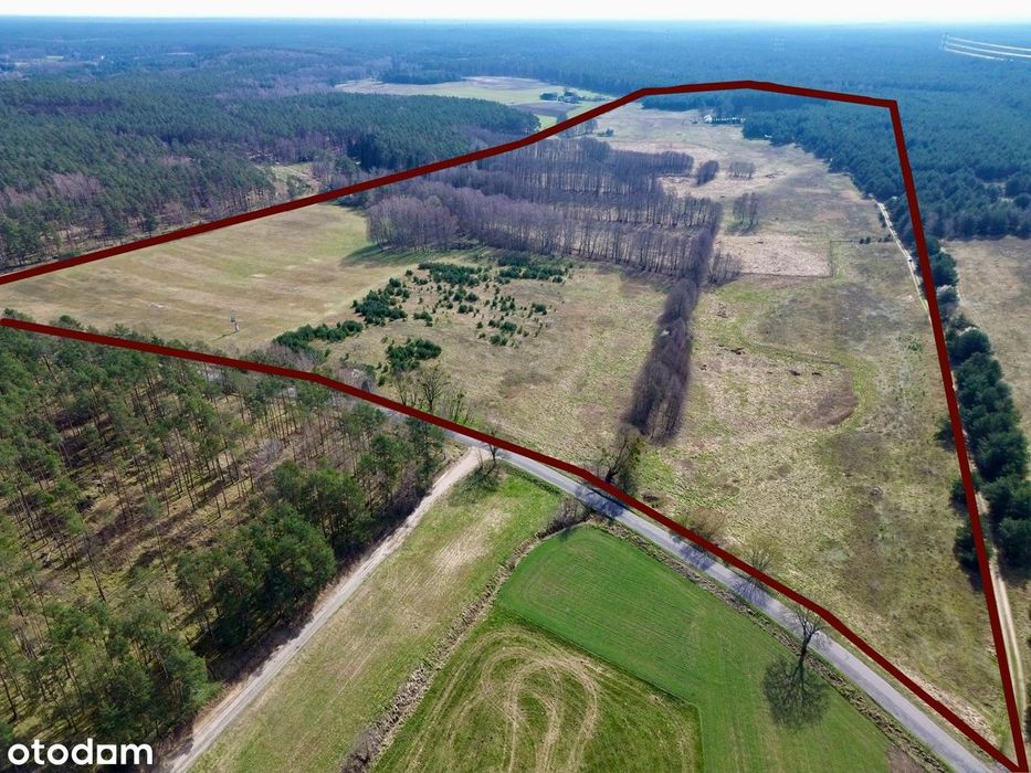 49,2 ha z domem we własnym lesie - 1 godzina do Poznania