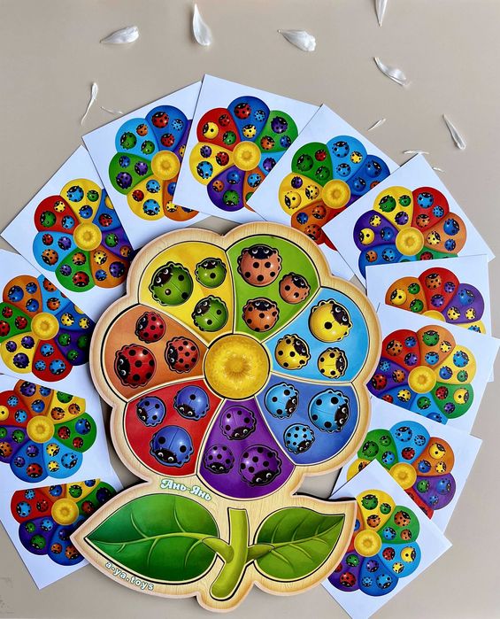 Sorter z kartkamy "Kwiat sedmiopłatkowy-2"