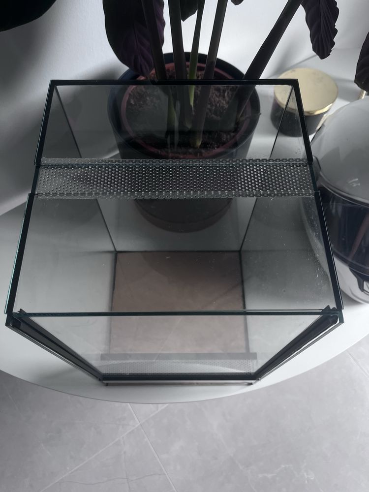 Terrarium 25X25X40