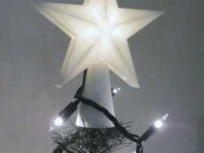 Estrela de Natal Pinheirinho