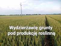 Dzierżawa gruntów rolnych