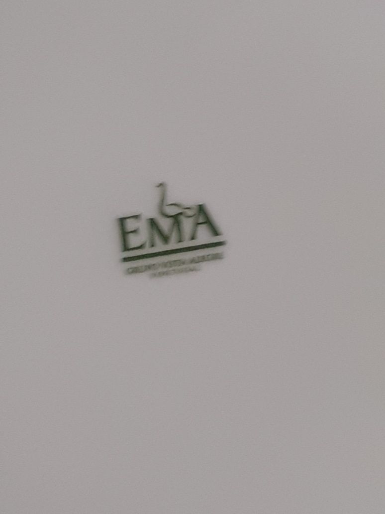 Ema by vista alegre