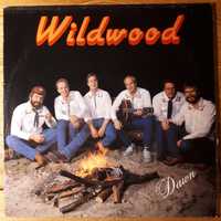 Płyta winyłowa - Wildwood – Dawn, LP, Stereo, EX+/EX+