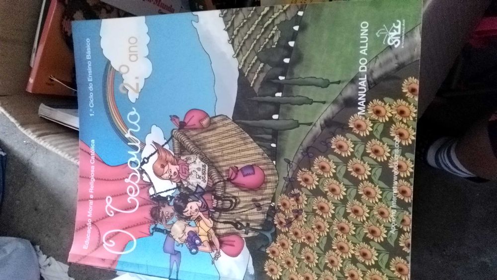 Manual Fichas/Actividades Escolar- 2º ano