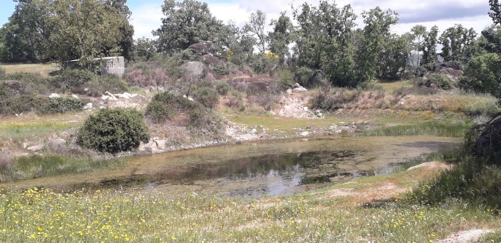 Quinta 14,5 hectares