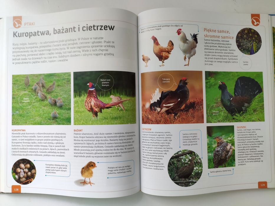 Młody Obserwator Przyrody Encyklopedia dla całej rodziny