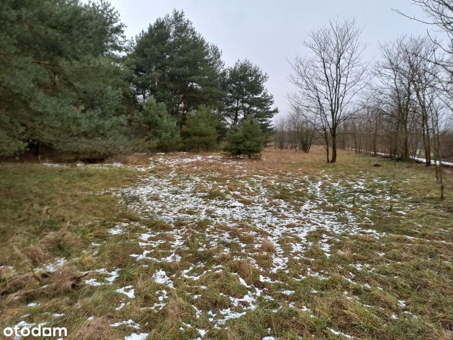 Działka budowlana okolice Szamocina Laskowa