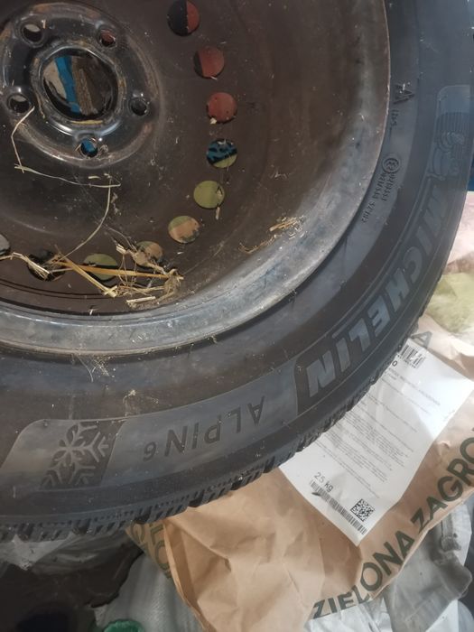 Opona zimowa 215.65.16 1szt.Alpin6