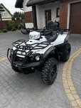 Quad TGB 550 4x4, homologacja.