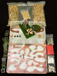 Формикарий для муравьев с кормом и декорациями (Муравьиная ферма)