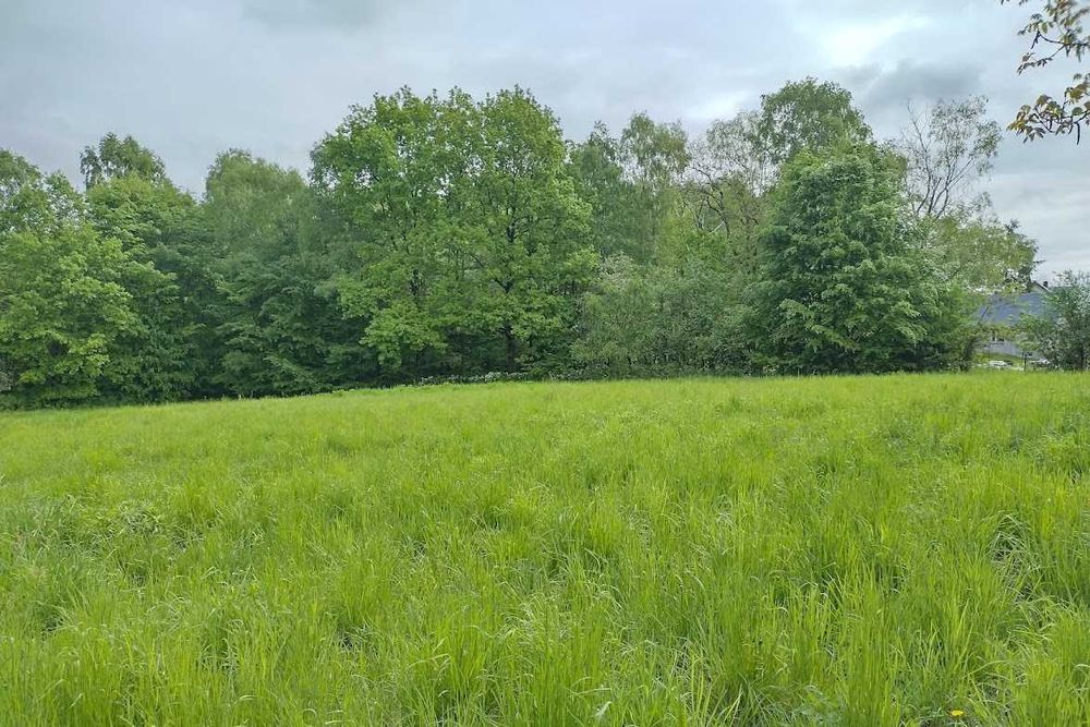 Działka budowlana w Pogorzycach, 25 arów