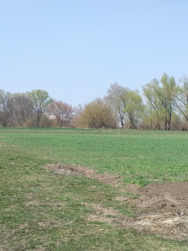 Предлагаю земельный участок под застройку с.Русанов (Броварской р-н)