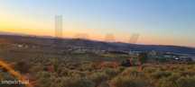 Oportunidade Única | Propriedade Agrícola | 36 Hectares: Oliveiras, Am