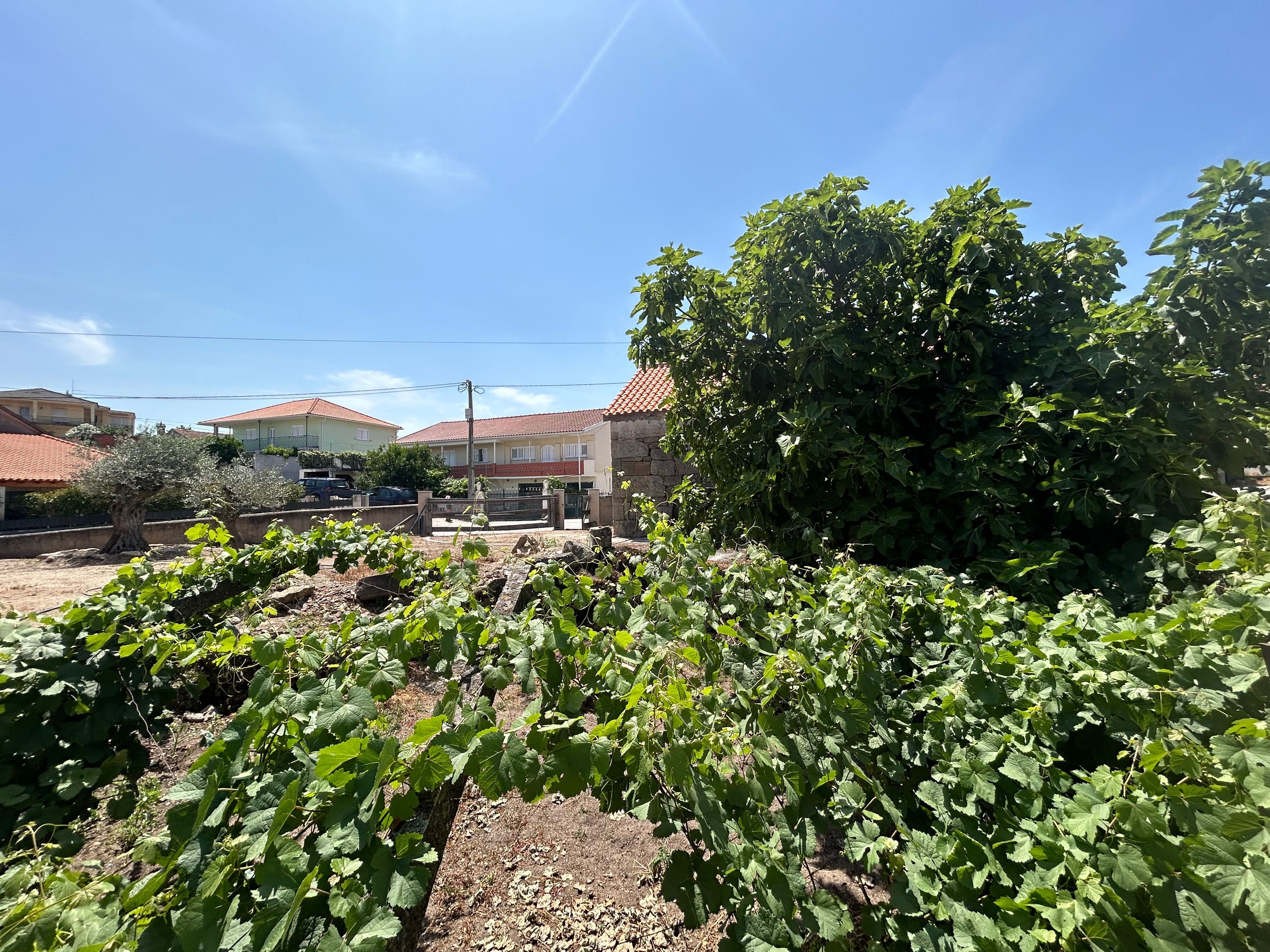 Casa com terreno na aldeia de Campelos, Carrazeda de Ansiaes