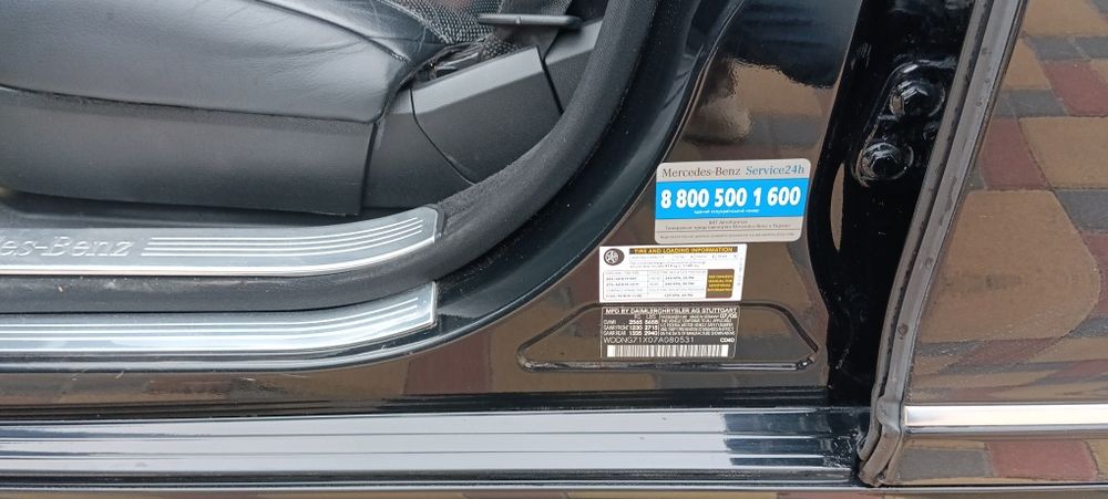 Без жодного підкрасу, один с живих мурчиків на самому правильному двиг