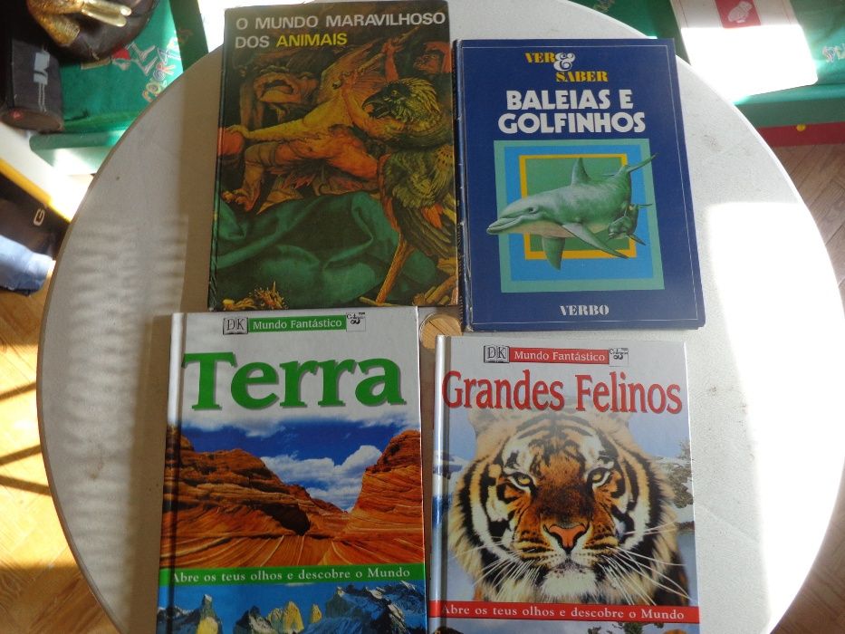 Livros Diversos lote em bom estado