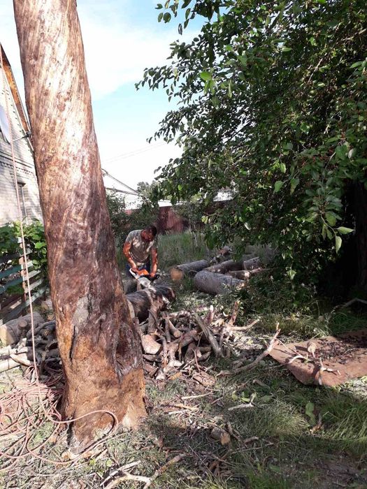 Видалення дерев. Благоустрій.Є послуги автовишки. Є послуги ЩЕПОРІЗА