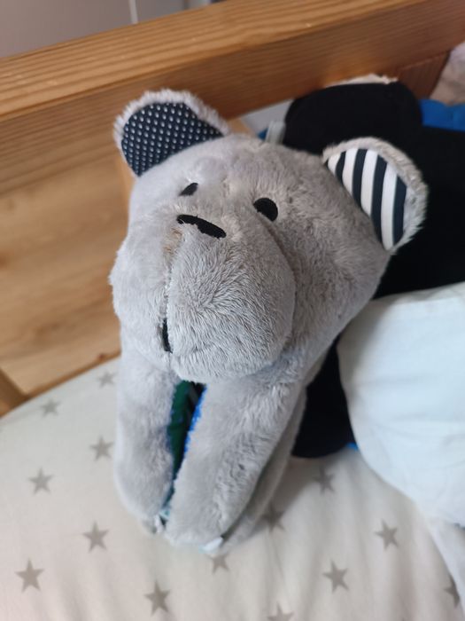 Miś szumiś whisbear