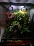 Paludarium / Terrarium / Vivarium Repti Planet 45x45x60