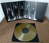 Vinil - Editors: In Dream (limited edition LP)