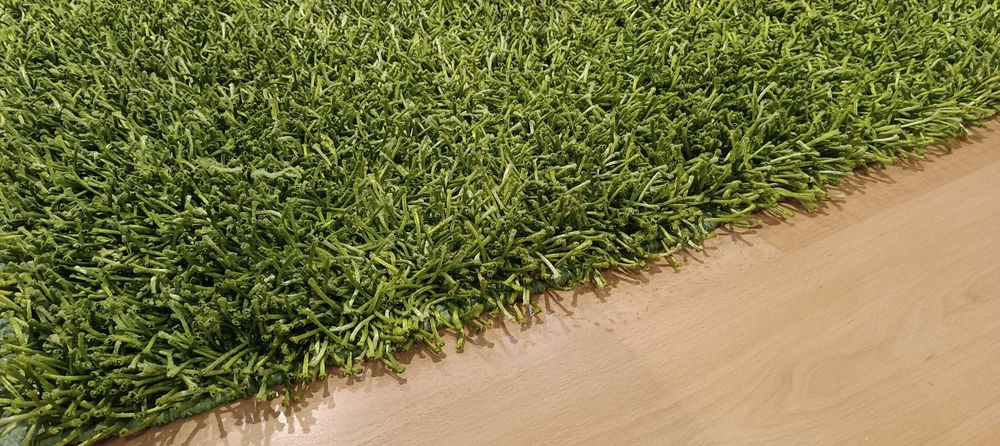 Vendo carpete verde de boa qualidade em bom estado