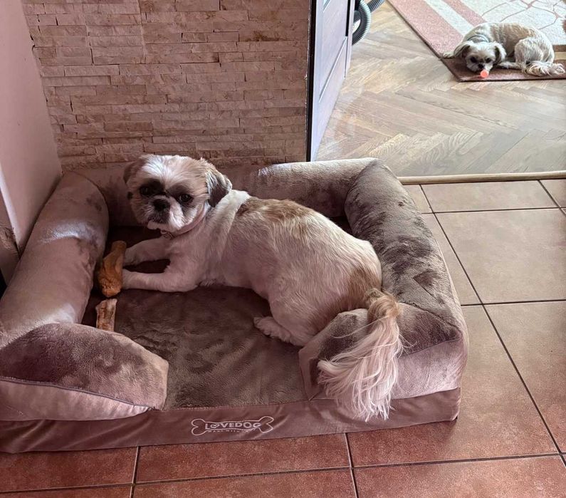 Ortopedyczne legowisko dla Psa 70×55 cm – polskie, wodoodporne, NOWE