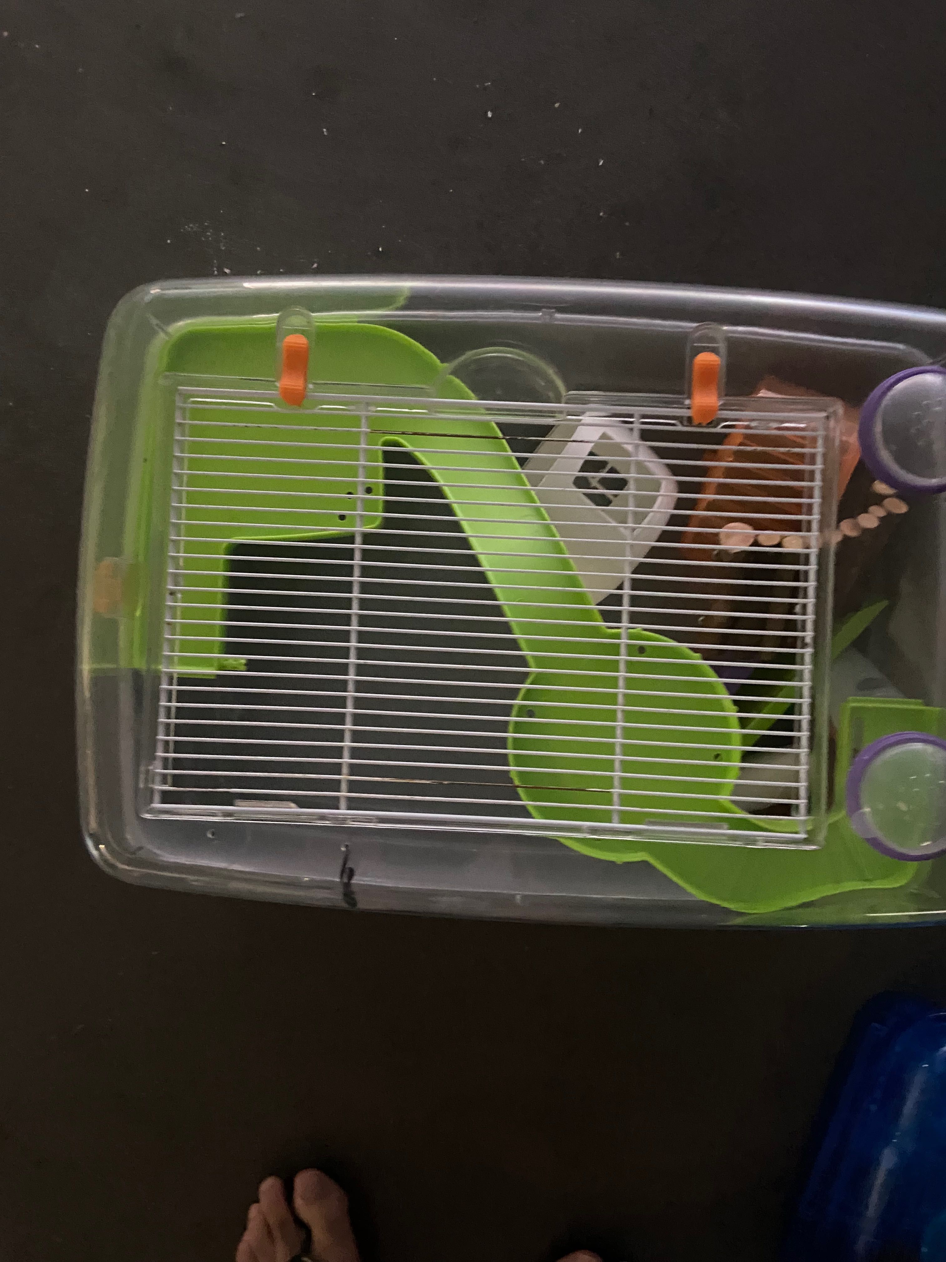 2 gaiolas para hamster