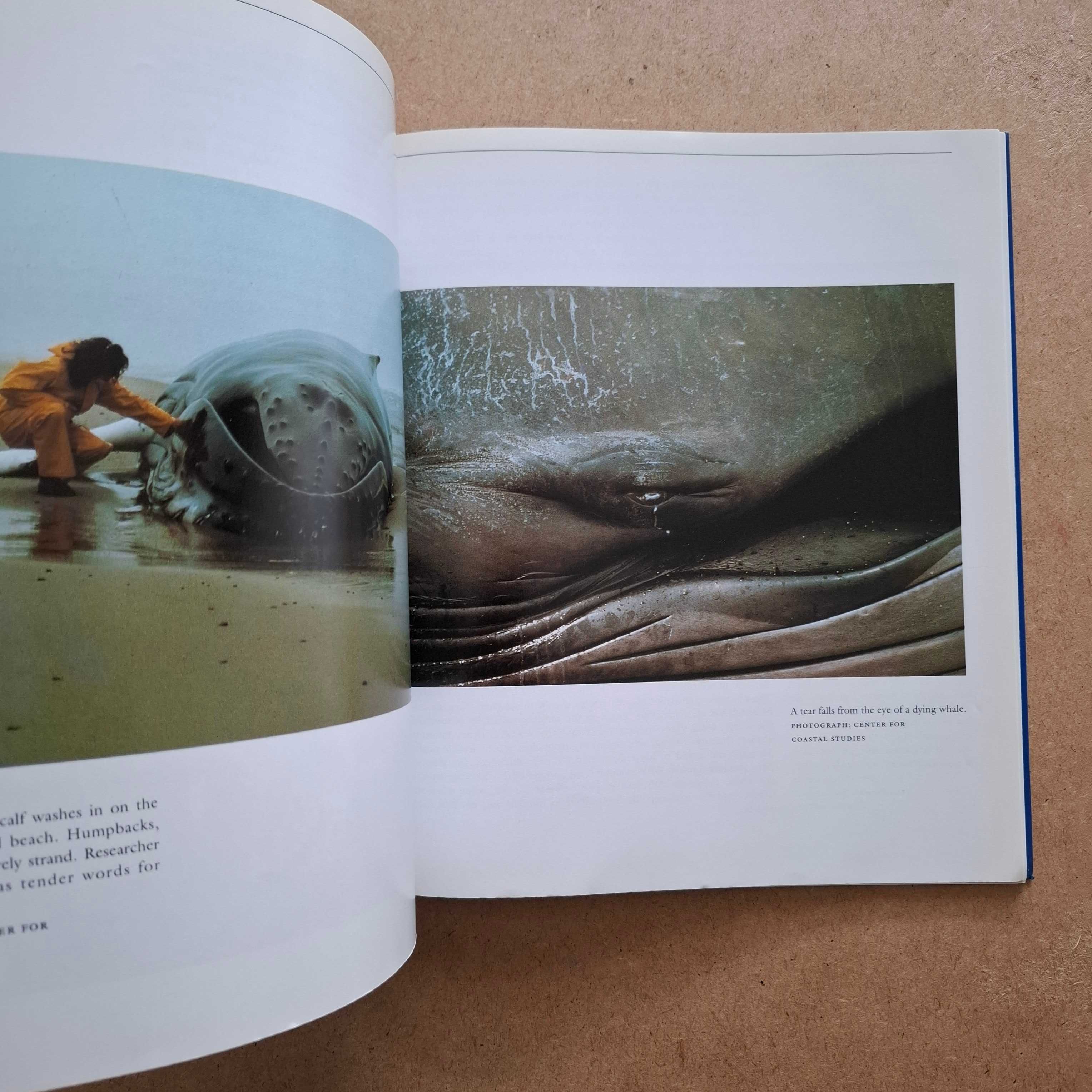 "Seasons of the Whale" de Erich Hoyt